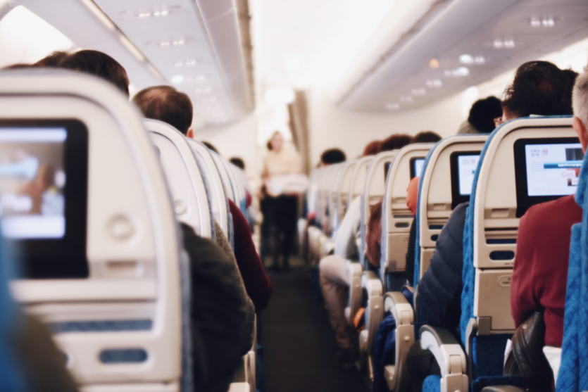불법체류자재입국, 불법체류자, 불법체류자자진출국, 불법체류자신고, 불법체류자자진신고, 외국인강제출국, 불법체류자혼인신고