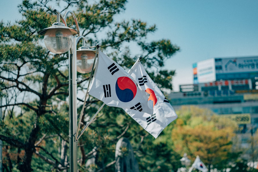 불법체류자자진출국, 불법체류자자진신고, 불법체류강제추방, 외국인사범심사, 외국인형사처벌, 외국인한국재입국