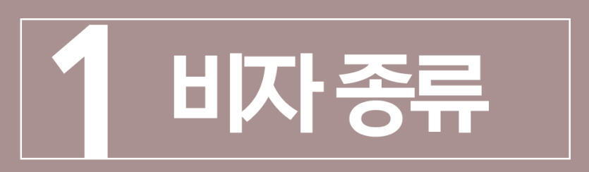 foreigner-visa-change, 외국인비자변경, 숙련기능인력, E9비자, E74비자변경