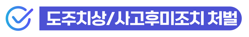 사고후미조치벌금 음주운전도주치상 외국인 형사처벌과 강제퇴거 위험 및 선처 대응 전략 설명 이미지