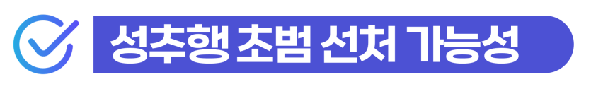 강제추행죄처벌 위기에서 초기 대응과 기소유예로 체류 자격을 지키는 과정을 설명을 돕기 위한 이미지