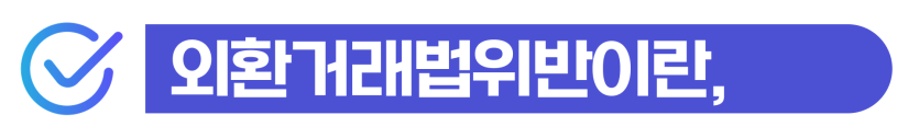 외국환거래법위반처벌위기 시 형벌을 낮추고 체류 자격을 안전하게 유지하는 단계를 설명을 돕기 위한 이미지