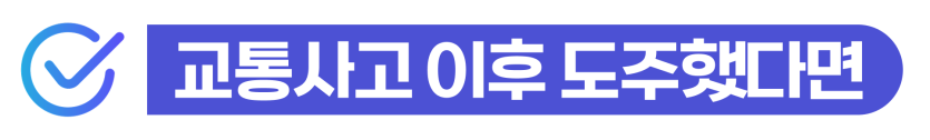 외국인교통사고 발생 후 조치 부재로 인한 뺑소니 처벌 위기와 비자 연장 방안을 설명을 돕기 위한 이미지